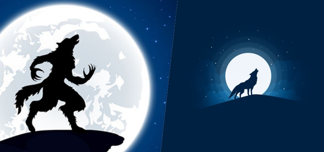 《狼人杀》常见 6 种玩家!老江湖术语多「过麦过麦」