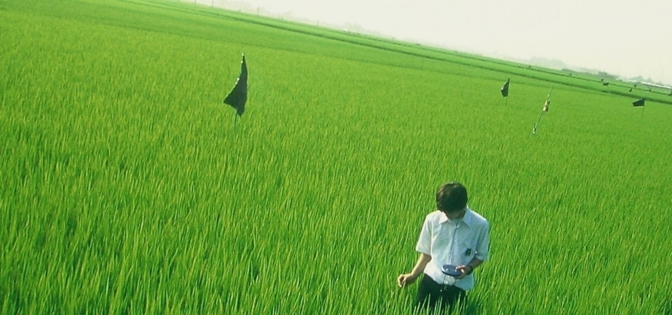 日本經典電影《青春電幻物語》重映：青春的躁動與天真稍縱即逝，獻給千禧世代的殘酷告白