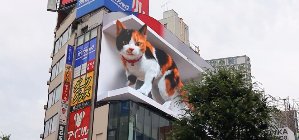 東京下一個人氣景點？新宿「3D 巨型貓咪」超可愛逼真顯影，貓奴們準備走起！