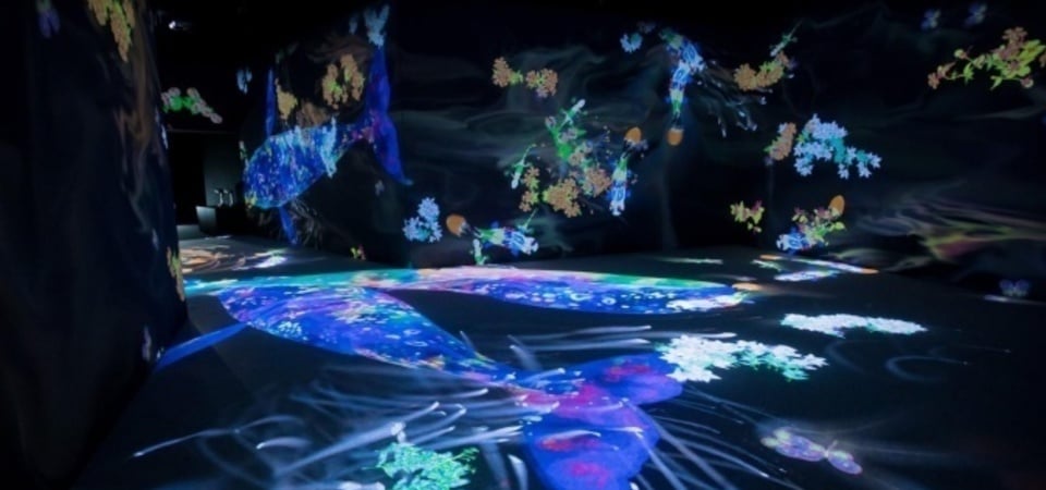 享受繽紛又夢幻的藝術世界，來《teamLab 未來遊樂園＆與花共生的動物們》特展療癒身心吧！