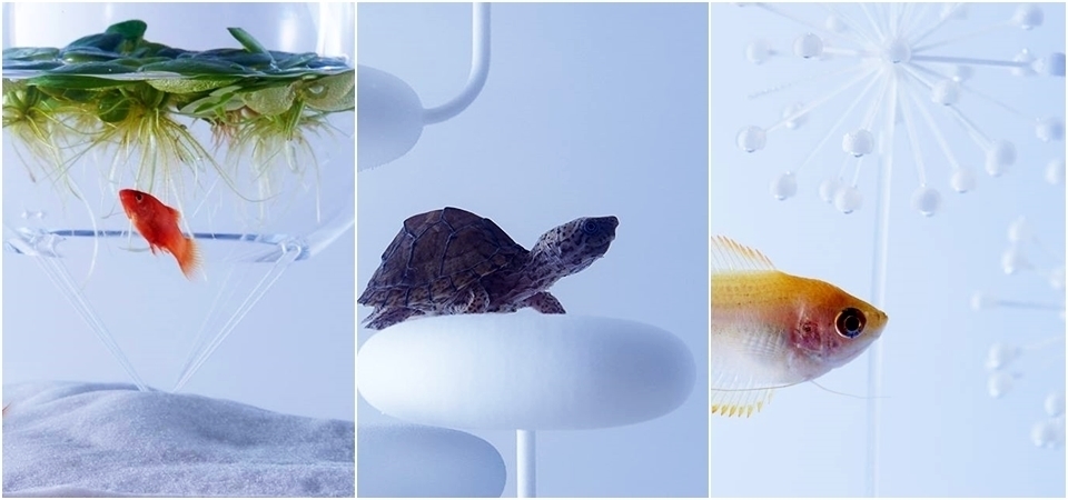 你絕對沒有看過這麼美的魚缸－日本設計大師 三澤遙 的夢幻水中風景