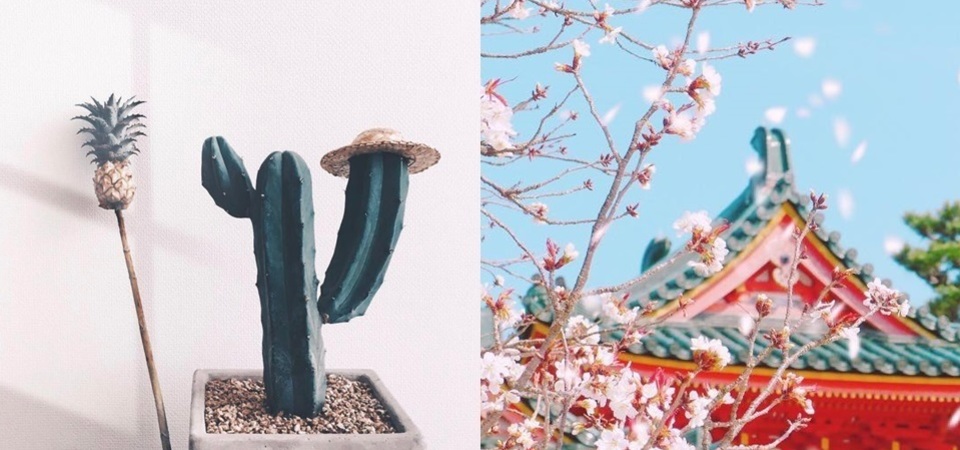 這款妳手機裡絕對沒有的濾鏡APP：竟然可以讓照片這麼百變可愛，還不趕快去下載！