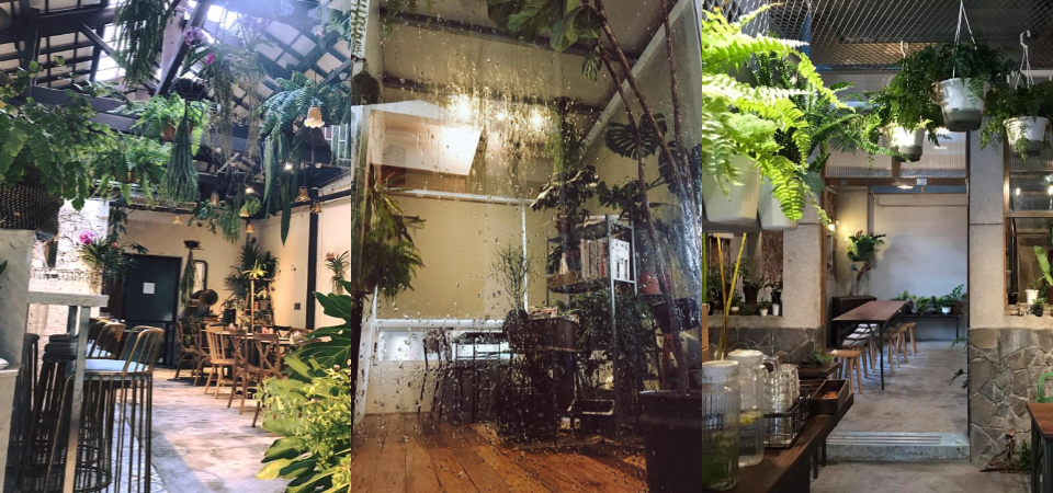 3 家視覺及美味兼具的「台南」森林系餐廳，體驗彷彿置身森林的錯覺！