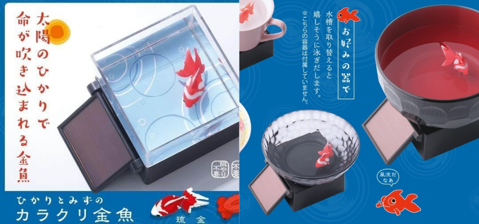 療癒指數百分百！日本「太陽能金魚」擺飾，不需要飼料，不需要換水，每天都活力滿滿！