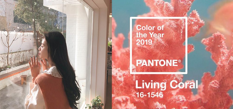 2019 Pantone 年度代表色，「活力珊瑚橘」獻給充滿朝氣的新年份