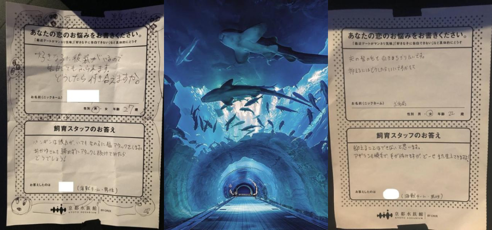 向克氏雙鋸魚學習？日本水族館推出「戀愛諮詢服務」，幽默又不失專業的神回覆惹網友哭笑不得！