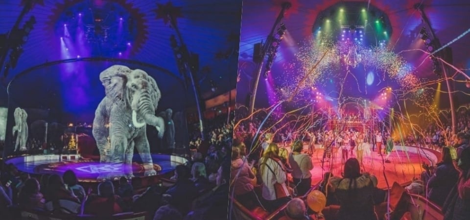不用再虐待動物！德國 Circus Roncalli 馬戲團以「全息投影」取代真實動物！網友：真的非常精彩