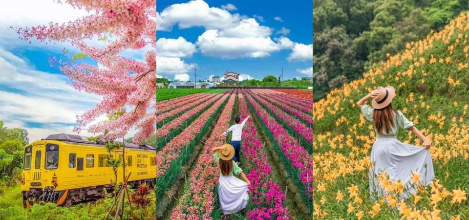 今夏不追風來追花！花的故鄉「彰化」康乃馨、金針花海這裡追，用花草系景點點亮好心情！
