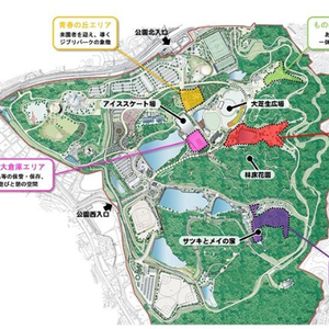 Medium 16407b52c5ea97ea