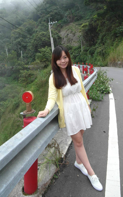 濃霧藤枝 山區道路