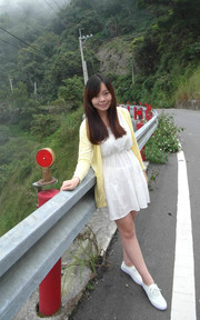 濃霧藤枝 山區道路