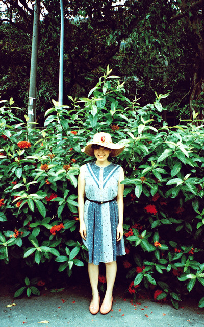 紅花綠葉