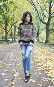 AUTUMN AIR