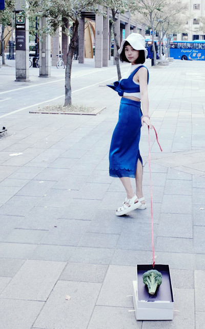 Envol Avec Ning 與花椰