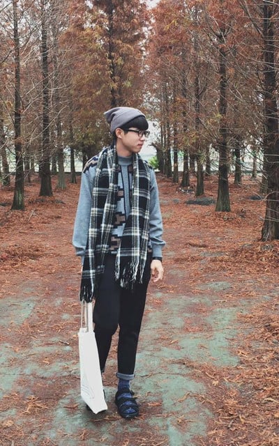 星期二落羽松的早晨