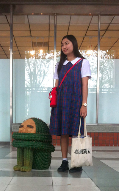 安安仙人掌