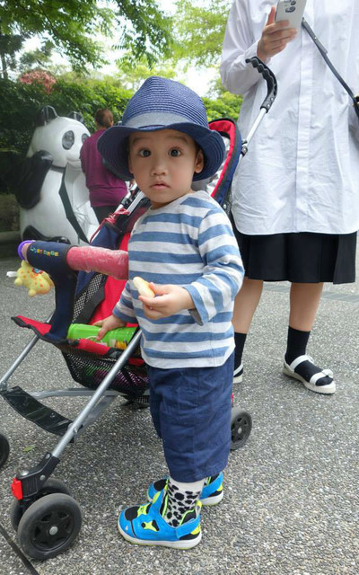 Zoo