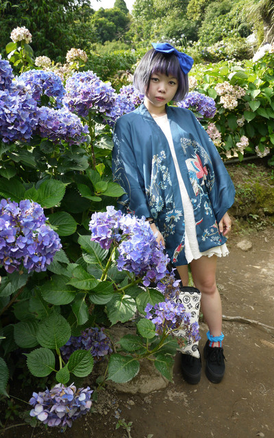 Hydrangea