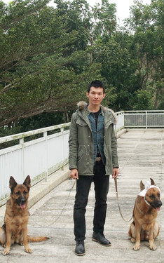 兩狗一人