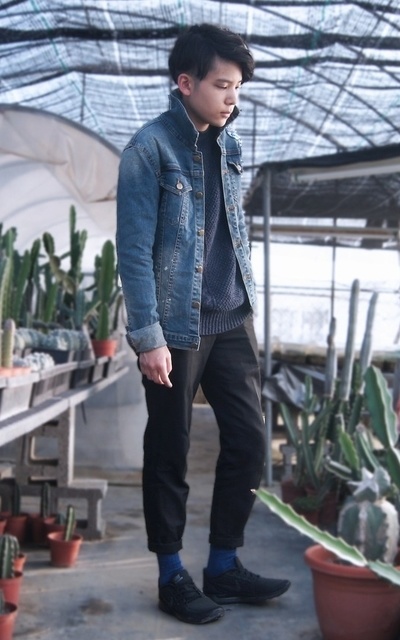 ▲ #‎green #2016 #new #year #cactus #plant #paradise #denim #day。▲
