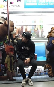 動物方程式