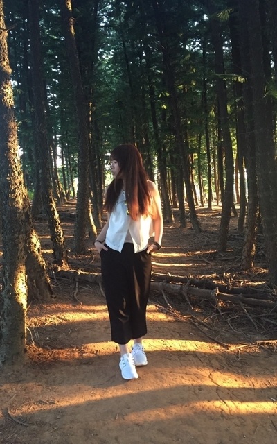 這個森林這個夕陽