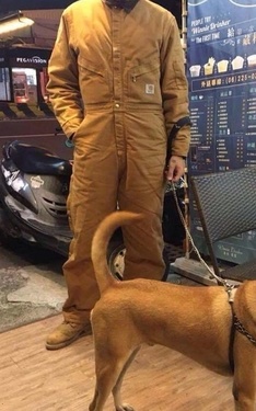 兩條穿制服ㄉ單身狗