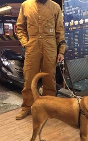 兩條穿制服ㄉ單身狗