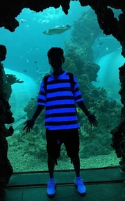 輕鬆海生館