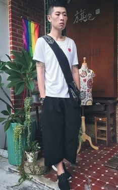 白素T