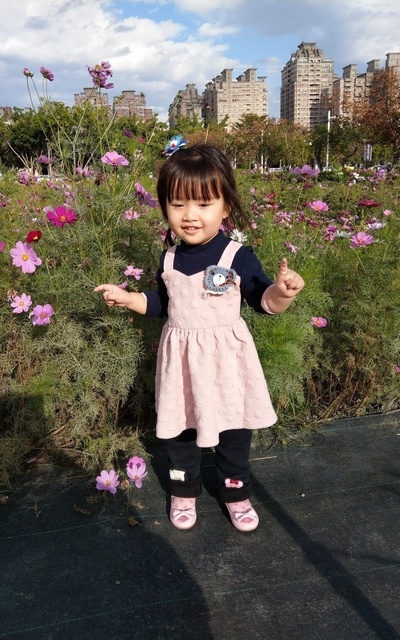 賞花