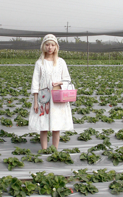 草莓田園