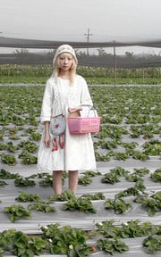 草莓田園