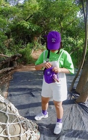 恐龍葡萄園