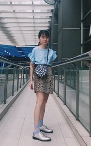 蝴蝶豹
