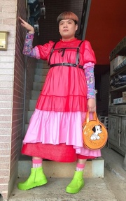 紅粉紅の胖子