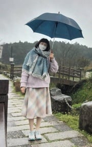 去看海芋