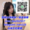台北板橋外送茶Line:tws966在校學生妹#台灣外送茶